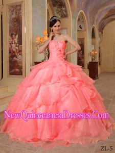 Ball Gown Sweetheart Floor-length Organza Beading 2013 Quinceanera Dress in Watermelon