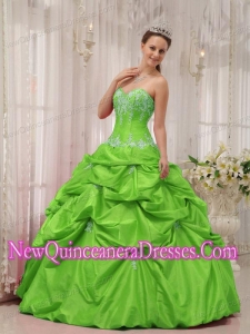 Appliques Taffeta Custom Made Quinceanera Dresses in Spring Green