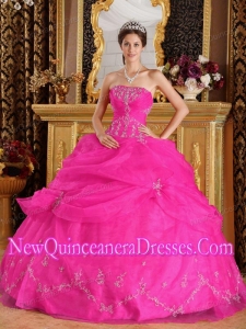 Ball Gown Strapless Organza Appliques Custom Made Quinceanera Dresse in Hot Pink