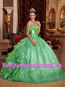 Ball Gown Strapless Green Ruffles Embroidery Custom Made Quinceanera Dresses