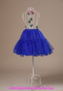 Custom Made 2013 Peacock Blue Petticoat