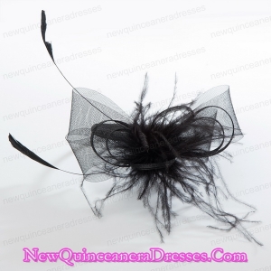 Simple Black Tulle Hairpins Birdcage Veils with Feather