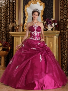 Brand New Quinceanera Dress Strapless Organza and Satin Appliques Ball Gown