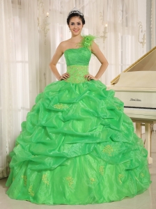 2015 Spring Green One Shoulder Quinceaners Dress With Embroidery and Pick-ups Decorate