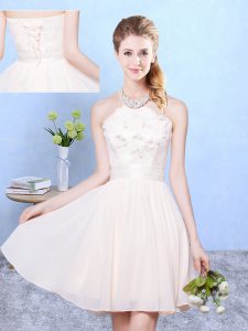 Baby Pink Chiffon Lace Up Quinceanera Court Dresses Sleeveless Knee Length Lace