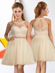 Champagne Tulle Zipper Halter Top Sleeveless Knee Length Dama Dress Lace