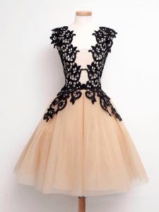 Fashionable Champagne A-line Tulle Straps Sleeveless Lace Knee Length Lace Up Dama Dress