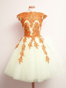 Elegant Scalloped Sleeveless Tulle Damas Dress Appliques Lace Up