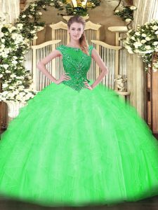 Fantastic Scoop Sleeveless Zipper Ball Gown Prom Dress Tulle