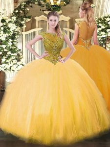 Noble Sleeveless Floor Length Beading Zipper Vestidos de Quinceanera with Gold