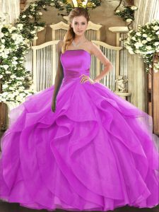 Lovely Strapless Sleeveless Lace Up Ball Gown Prom Dress Fuchsia Tulle