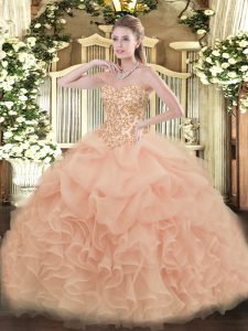 Admirable Sleeveless Lace Up Floor Length Appliques and Ruffles and Pick Ups 15th Birthday Dress