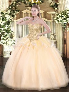 Champagne Organza Lace Up Sweet 16 Quinceanera Dress Sleeveless Floor Length Appliques