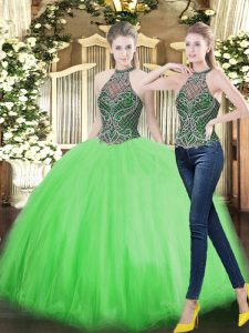 Ball Gowns Sweet 16 Dress High-neck Tulle Sleeveless Floor Length Lace Up