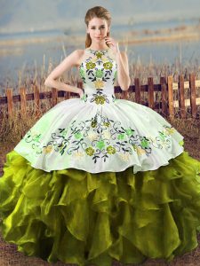 Organza Sleeveless Floor Length Sweet 16 Quinceanera Dress and Embroidery and Ruffles