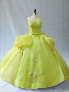 Low Price Sleeveless Lace Up Floor Length Appliques Quinceanera Dresses