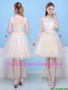 Sophisticated Scoop Sleeveless Quinceanera Court Dresses Knee Length Bowknot Champagne Tulle