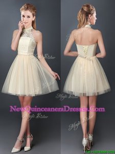 Decent Halter Top Spring and Summer and Fall Tulle Sleeveless Mini Length Court Dresses for Sweet 16 andLace and Appliques