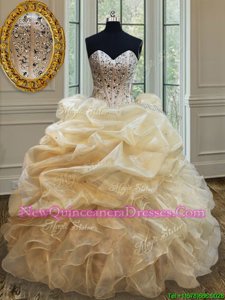 Customized Spring and Summer and Fall and Winter Organza Sleeveless Floor Length 15th Birthday Dress andBeading and Ruffles