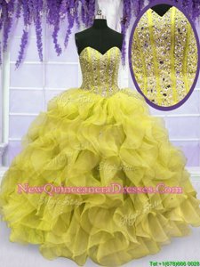 Customized Spring and Summer and Fall and Winter Organza Sleeveless Floor Length 15th Birthday Dress andBeading and Ruffles