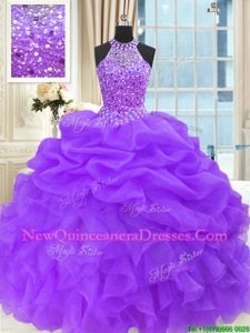 Colorful Purple Sleeveless Beading and Pick Ups Floor Length 15 Quinceanera Dress