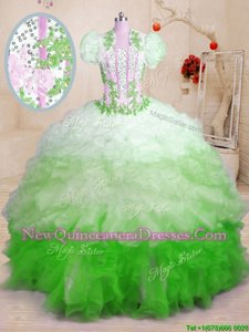 Multi-color Sleeveless Brush Train Beading and Appliques and Ruffles With Train Quinceanera Dresses