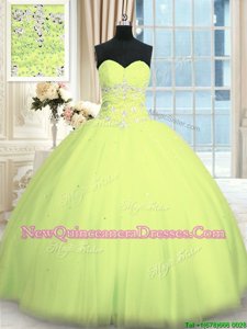 Sleeveless Appliques Lace Up Quince Ball Gowns