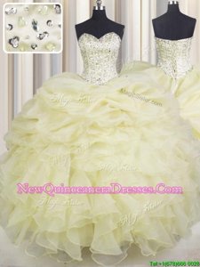 Charming Spring and Summer and Fall and Winter Organza Sleeveless Floor Length Sweet 16 Quinceanera Dress andBeading and Ruffles